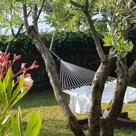 Peace Of Mind N 3 Apartman *